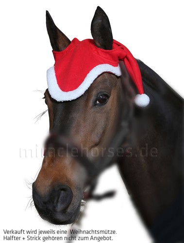 Weihnachtsmütze pferde - weihnachtsmütze, f.
